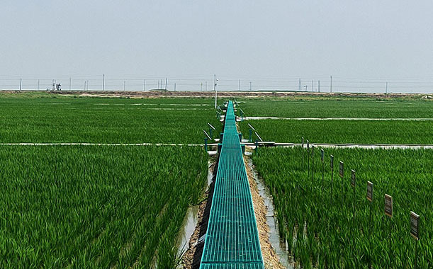 籃球場圍欄網(wǎng)價格是多少